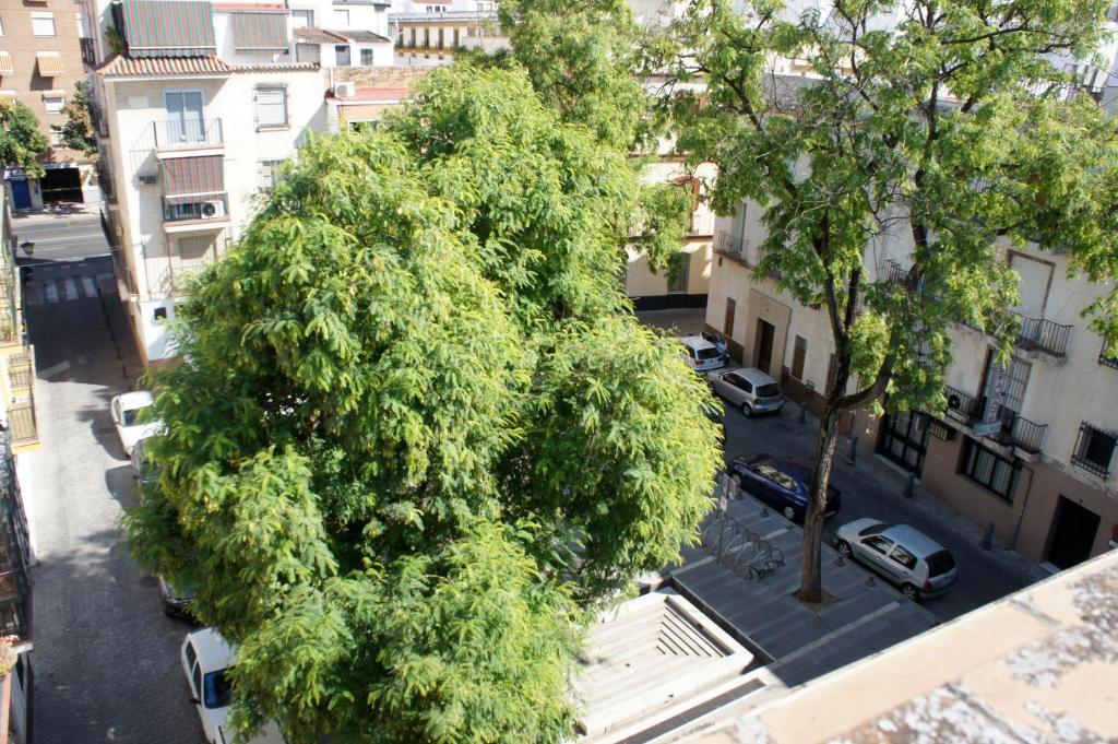 Pension Perez Montilla Sevilla Dış mekan fotoğraf
